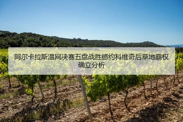 a-er-ka-la-si-wen-wang-jue-sai-wu-pan-zhan-sheng-de-yue-ke-wei-qi-hou-cao-di-ba-quan-que-li-fen-xi-2-311.jpg