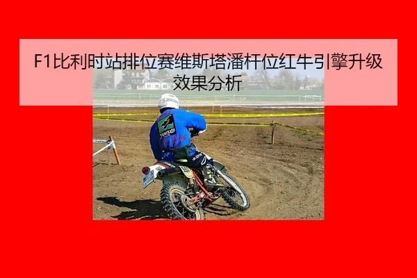 bi-li-shi-zhan-pai-wei-sai-wei-si-ta-pan-gan-wei-hong-niu-yin-qing-sheng-ji-xiao-guo-fen-xi-2-366.jpg